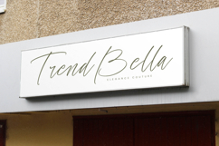 History Postime Modern Script Font Product Image 17