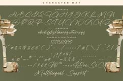 History Postime Modern Script Font Product Image 18