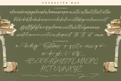 History Postime Modern Script Font Product Image 19