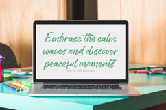 History Silentos - Brush Script Font Product Image 6