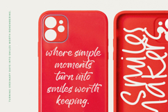 History Silentos - Brush Script Font Product Image 11