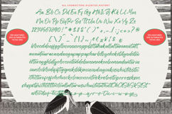 History Silentos - Brush Script Font Product Image 15