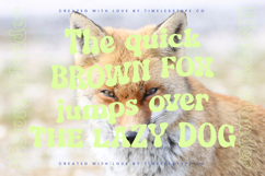 History Wonder - Modern Retro Serif Font Product Image 7