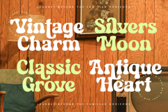 History Wonder - Modern Retro Serif Font Product Image 14