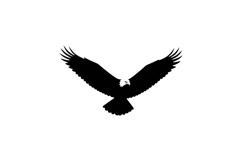 Majestic eagle soaring with outstretched wings in minimalist Product Image 1