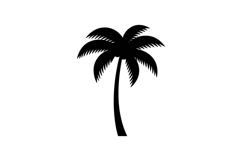 Tall palm tree silhouette in minimal style showcasing tropic Product Image 1