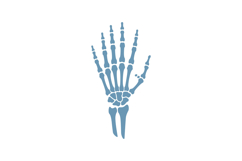 Human hand skeleton illustration in flat design style showca Product Image 1
