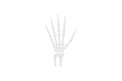 Anatomical hand skeleton in minimal style showcasing intrica Product Image 1