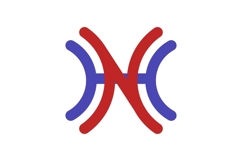 HN NH logo design Product Image 1