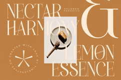 Holdmen Paradise - Modern Display Typeface Product Image 15