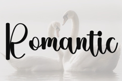 Holiday Amsterdam Product Image 4