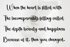 Holiday Amsterdam Product Image 7