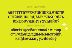 Holiday Carnival | A Playful Display Serif Product Image 8