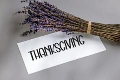 Holiday Charming Product Image 6