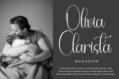 Holiday Christmas Product Image 2