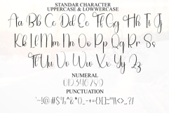 Holiday Christmas Product Image 7