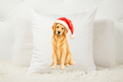 Christmas pet PNG featuring a softly painted golden retriever in a simple, isolated layout that keeps the festive dog as the focus.