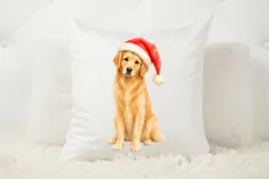 Christmas pet PNG featuring a softly painted golden retriever in a simple, isolated layout that keeps the festive dog as the focus.
