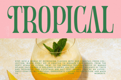 Holiday Foreste - Modern Serif Font Product Image 6