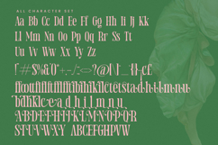 Holiday Foreste - Modern Serif Font Product Image 13