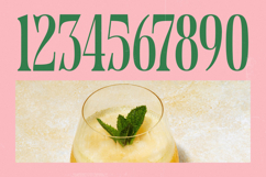 Holiday Foreste - Modern Serif Font Product Image 14