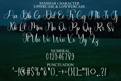 Holiday Magic Product Image 7