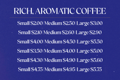 Holiday Sunset - Elegant Display Serif Font Product Image 16