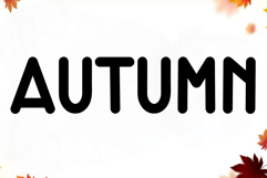 Holiday Valentine Product Image 4