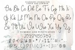 Holiday Product Image 4