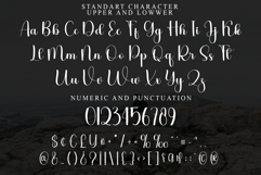 Holiday Product Image 7