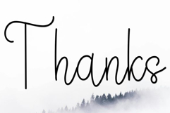 Holiday Product Image 3