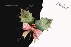 Brush Stroke Christmas Holly Clipart | Preppy Christmas PNG Product Image 2