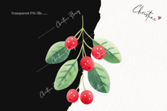 Cute Christmas Holly Clipart | Christmas PNG Product Image 2