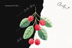 Cute Christmas Holly Clipart | Christmas PNG Product Image 2