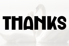 Holly Jolly Product Image 8