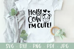 The Baby Sayings Big Bundle Vol 1 - 20 Funny Baby Designs! Product Image 8