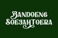 Home Christmas Product Image 2