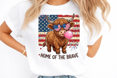 HOME OF THE BRAVE PNG Product Image 2