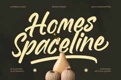 Homes Spaceline Bold Handwritten Font Product Image 1