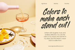 Homes Spaceline Bold Handwritten Font Product Image 10