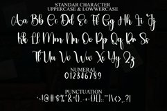 Homeland Product Image 3