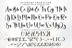 Homesky Product Image 5