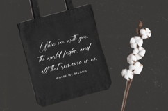 Homestay Nighter - Stylish Handwritten Font Product Image 3