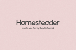 Homesteader Sans Product Image 1