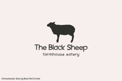 Homesteader Sans Product Image 7