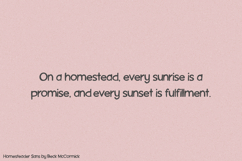 Homesteader Sans Product Image 8