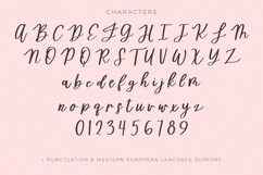 Homeward Script Product Image 10