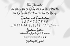 Honey &amp; Friends Product Image 7