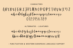 Honey Punch Script Font Product Image 10