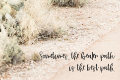 Honey Punch Script Font Product Image 4